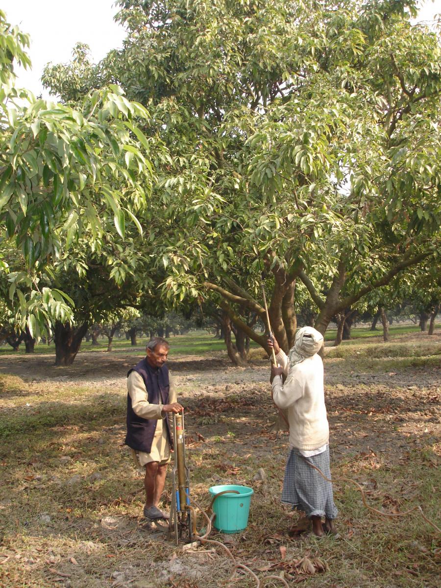 Foliar application of micronutrients