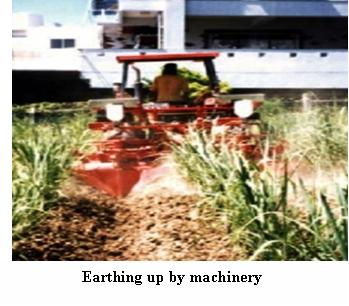 earthing up