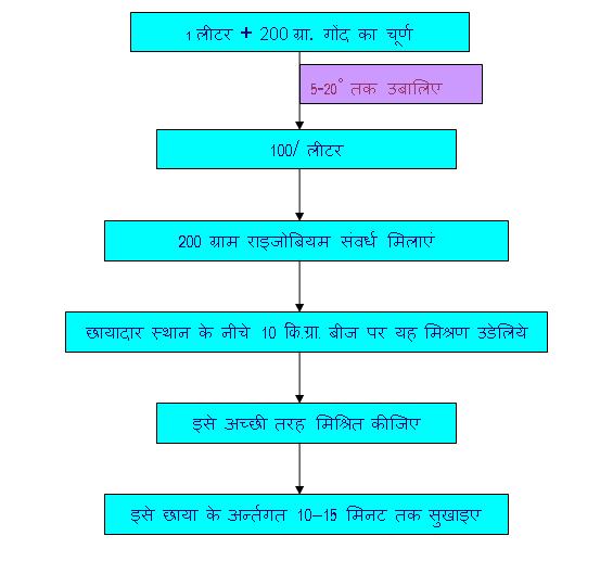 मटर में राइजोबियम संवर्ध